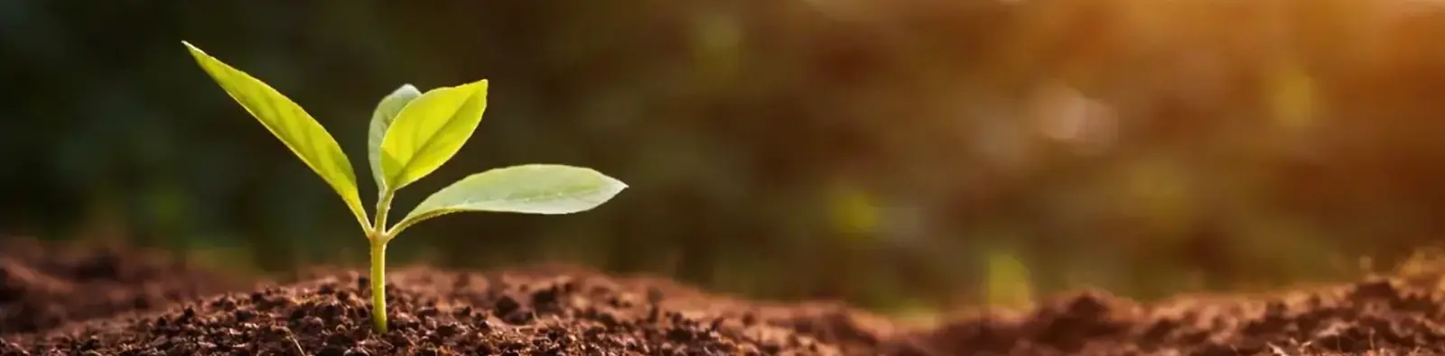 Responsible Technology for People and Nature